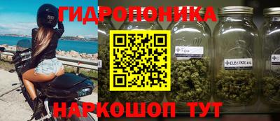 jwh Будённовск
