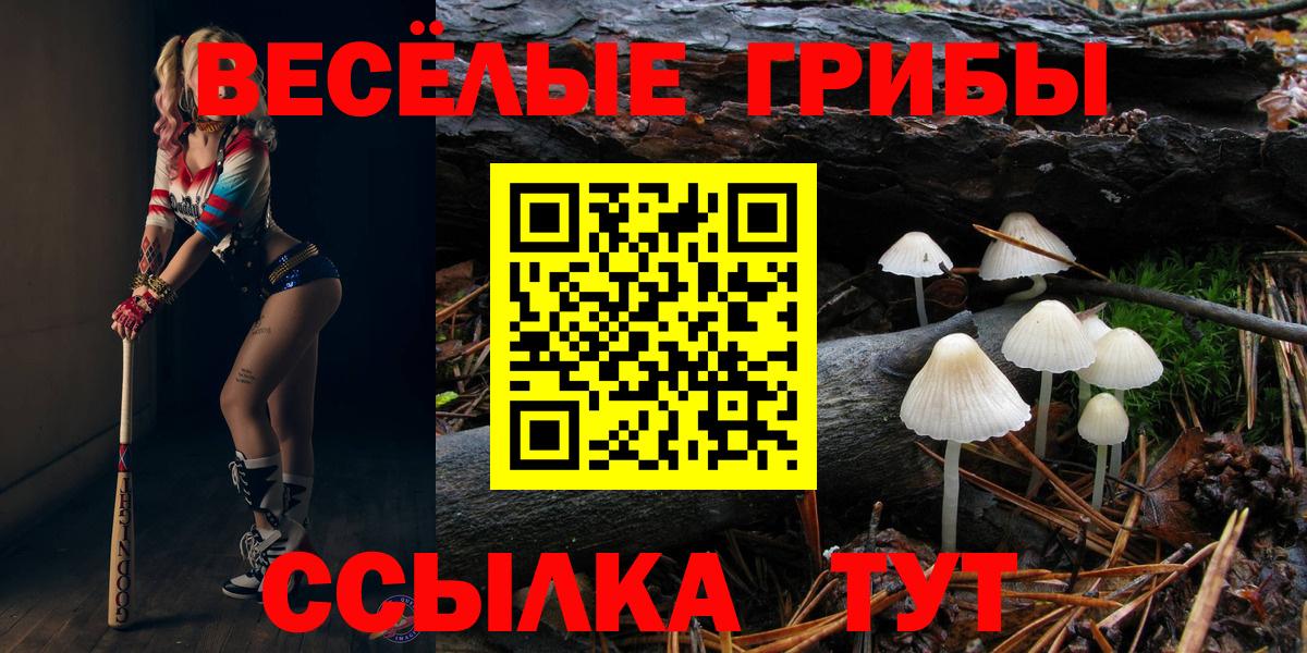 Галлюциногенные грибы Psilocybe  сколько стоит  Дубна  Вход с VPN 