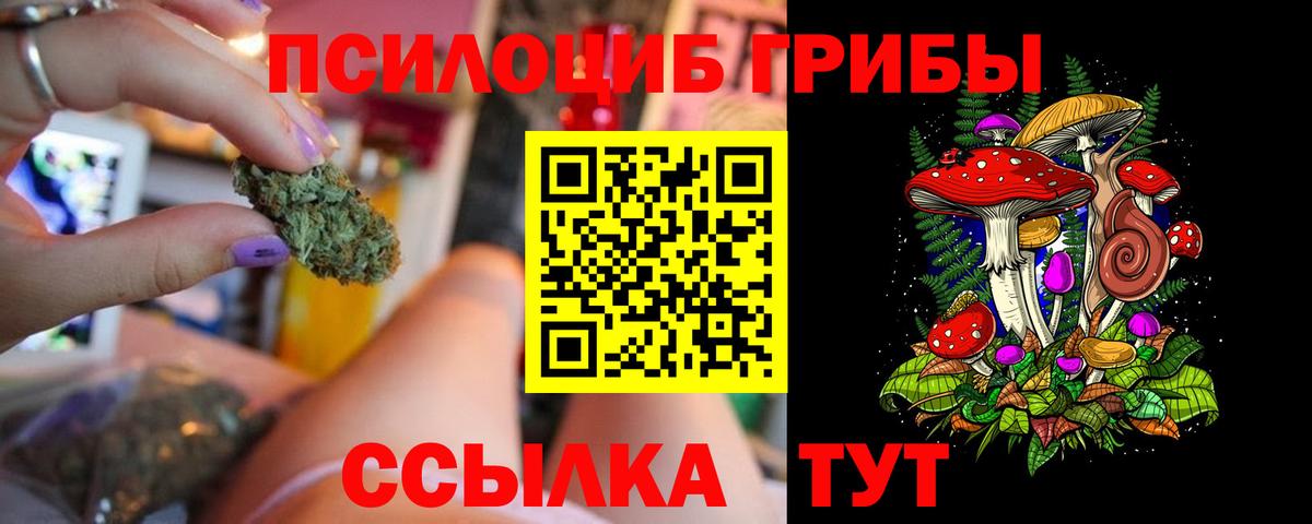 Псилоцибиновые грибы GOLDEN TEACHER Дубна